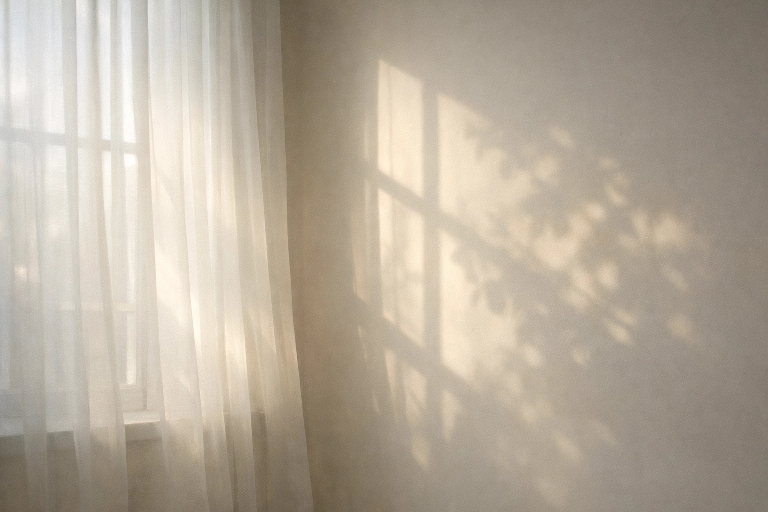 Soft light through a window