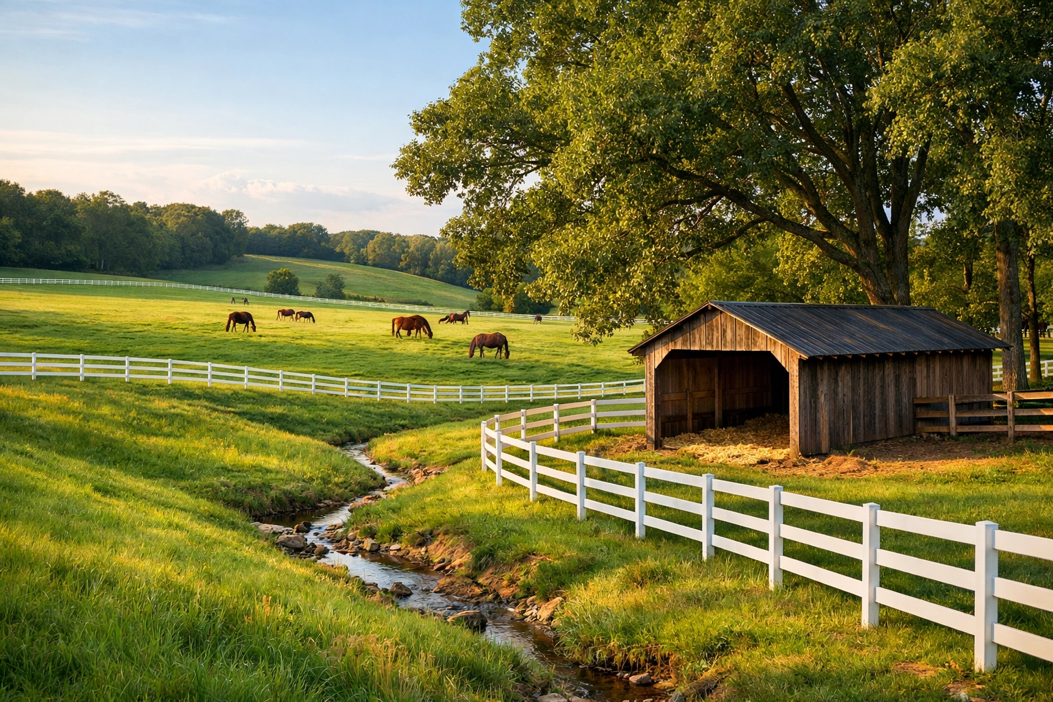 Healthy horse pastures with board fencing and run-in shed on NC equestrian property
