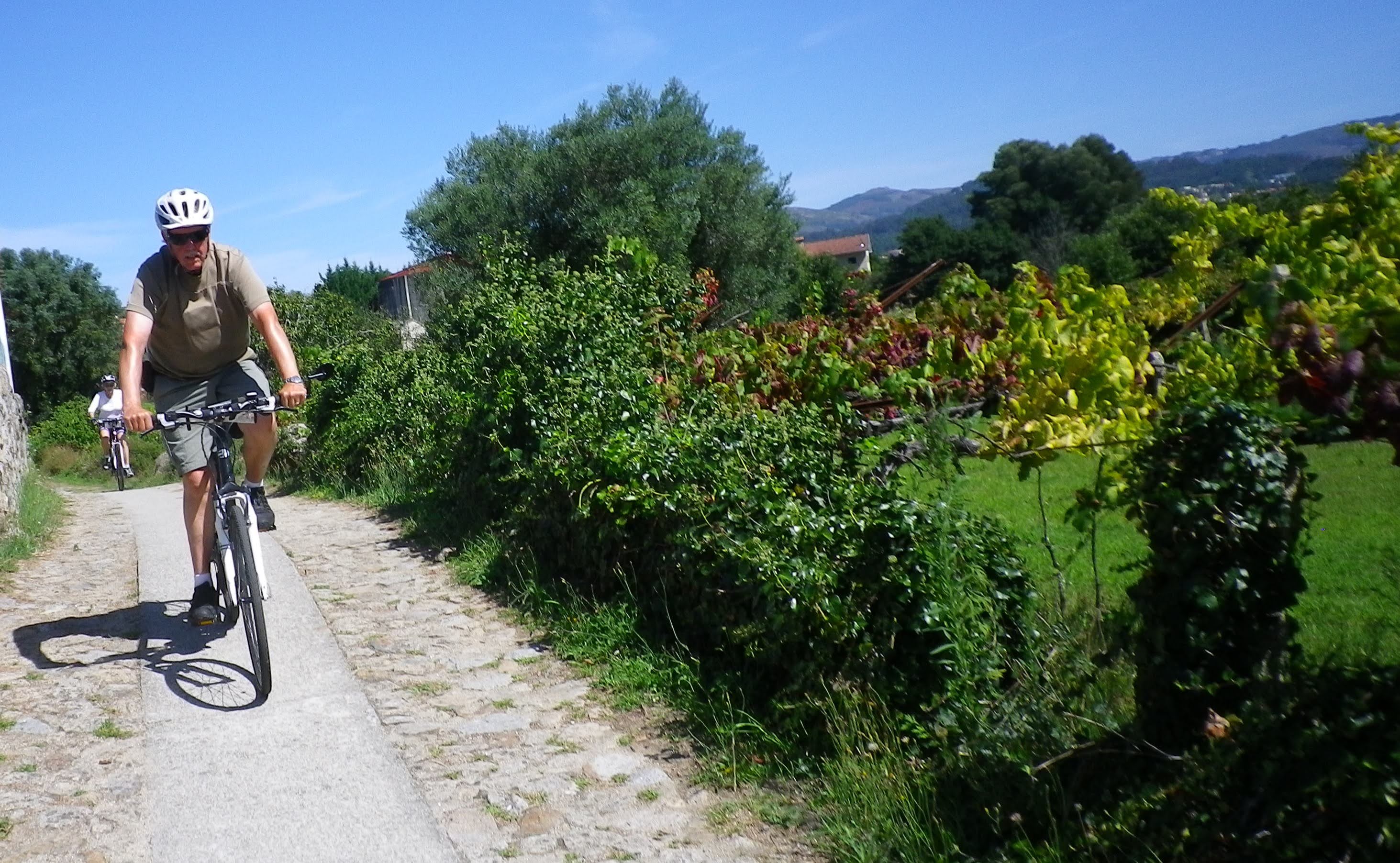 Cyclists Riding Rental Bikes on Scenic Countryside Path