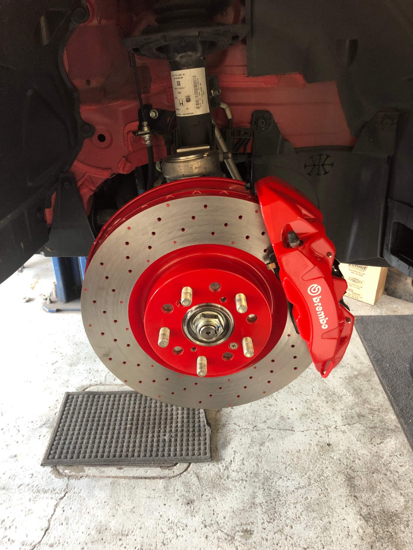 Powder coated Brembo caliper and rotor assembly installed