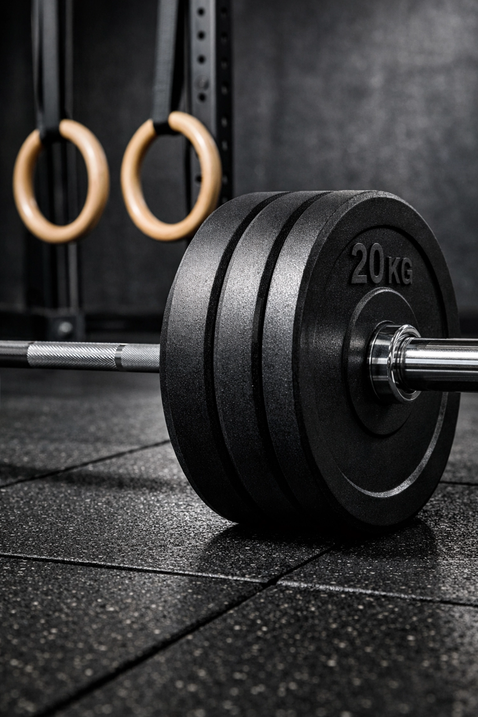 CrossFit home gym equipment featuring an Olympic barbell and gymnastic rings on a resistance rail.