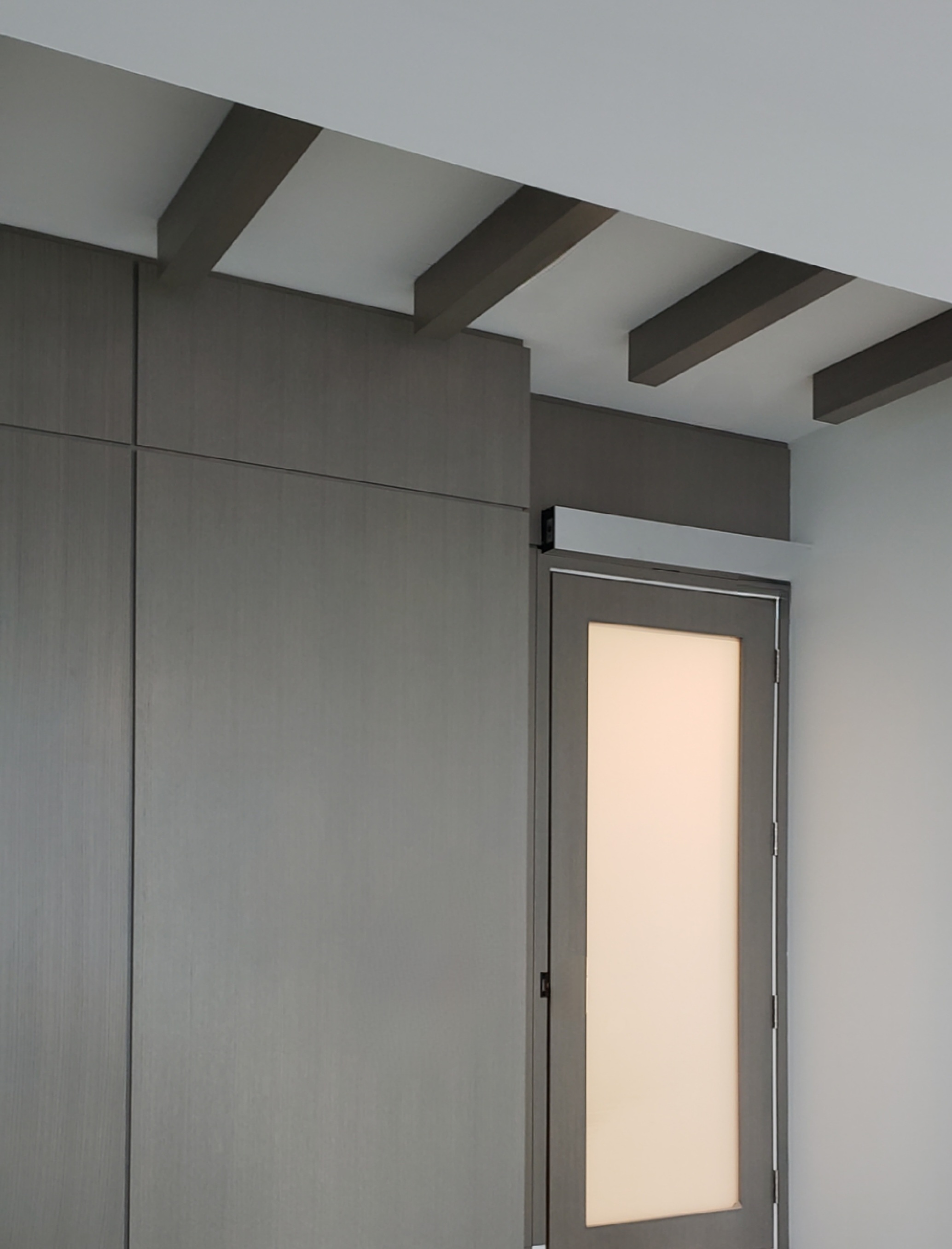 Grey wood panel accent wall with matching frosted glass door showcasing integrated wall panels and detailed door trim work