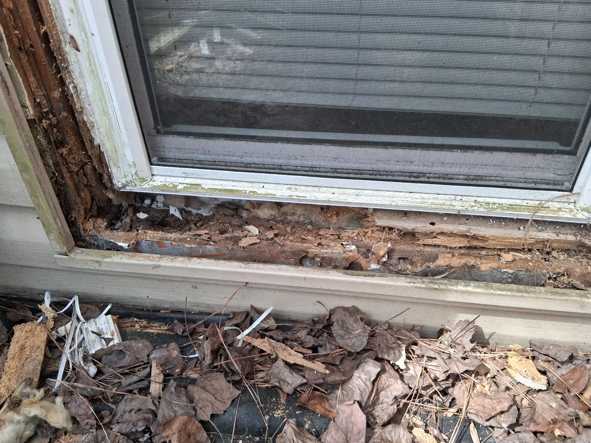 Most Atlanta Rental Properties Have Hidden Damage—Is Yours One of Them?