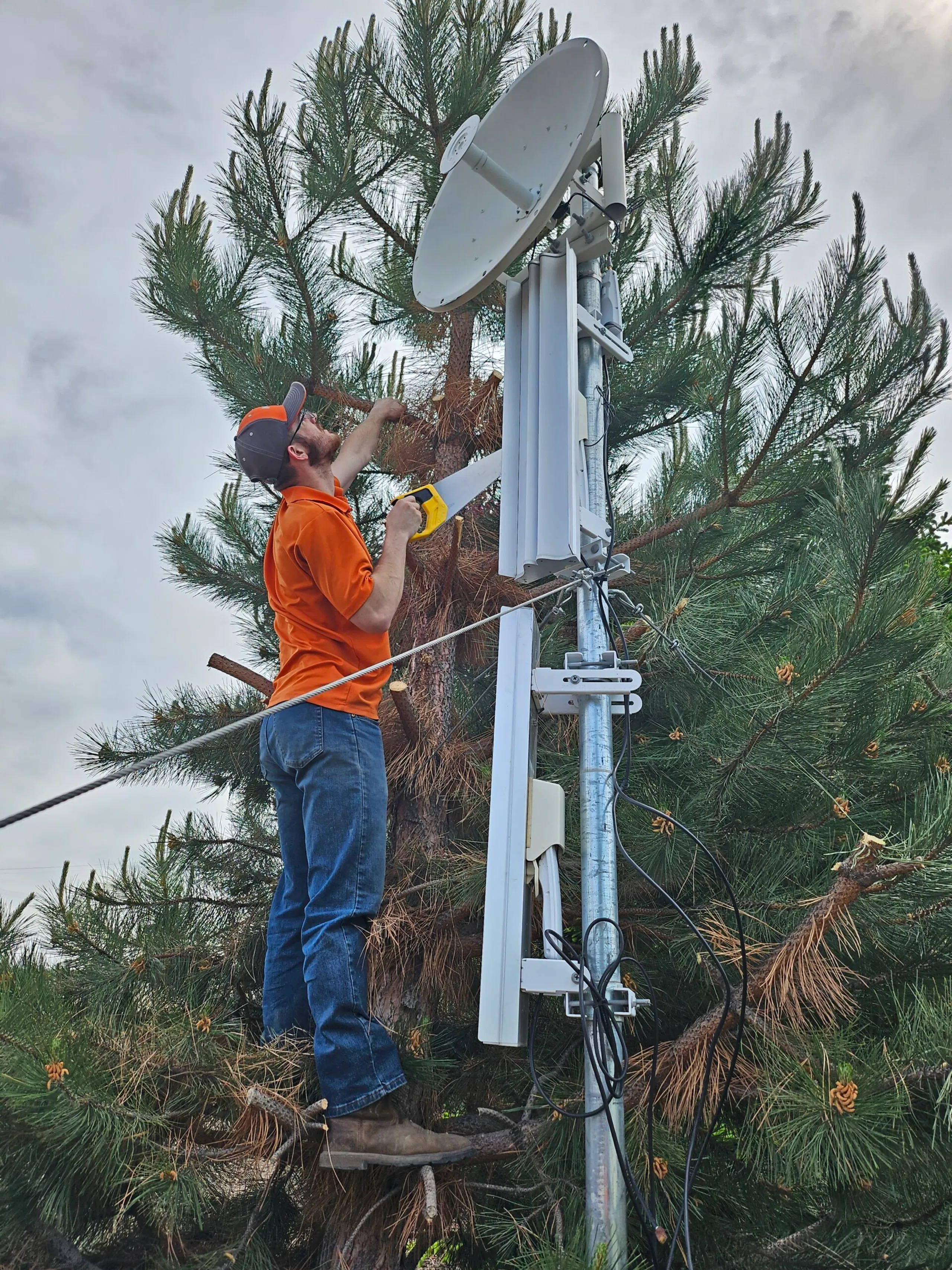 A Rodeo Networks technician in safety gear trims tree branches to clear interference around a wireless internet receiver