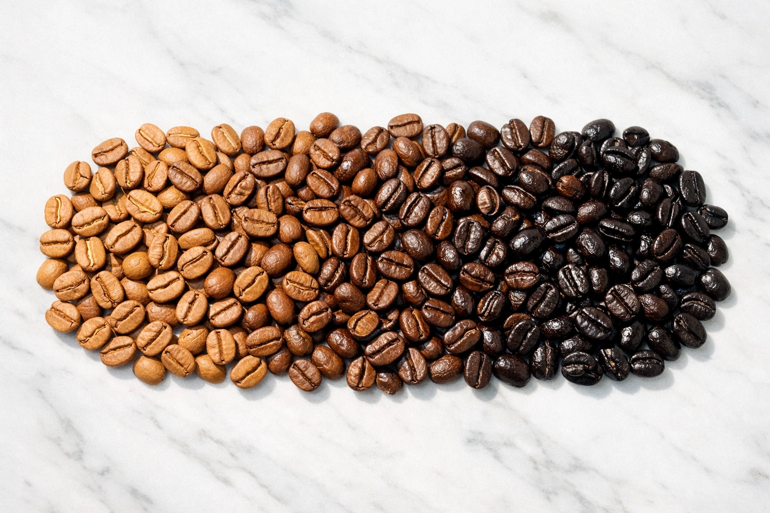 Coffee beans arranged from light roast to dark roast showing color and texture differences