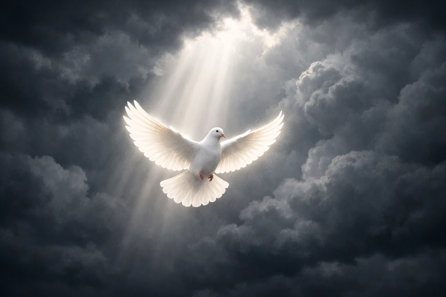 A white dove flying through dark storm clouds into light, representing the Holy Spirit's comfort and hope.