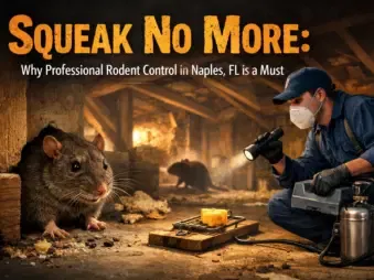 A pest control technician in uniform and mask inspects an attic space with a flashlight and pest control equipment. Large rodents are visible near baited traps.