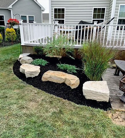 Lush garden and landscape design