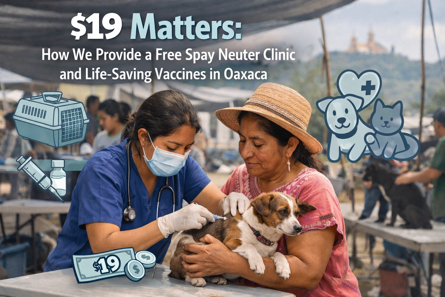 [HERO] $19 Matters: How We Provide a Free Spay Neuter Clinic and Life-Saving Vaccines in Oaxaca