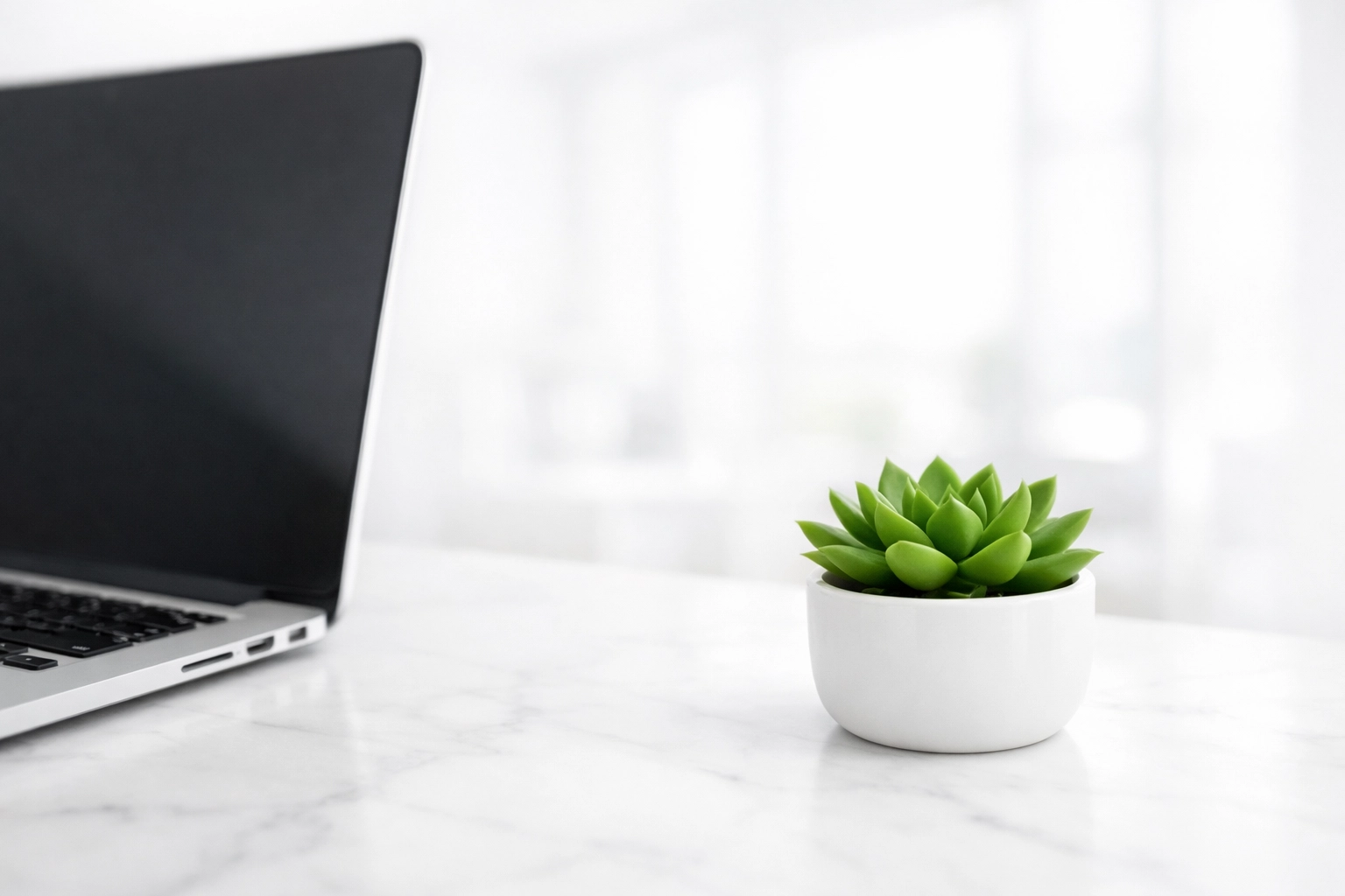 Modern laptop and succulent on a marble desk representing a website spring clean for Seaham firms.
