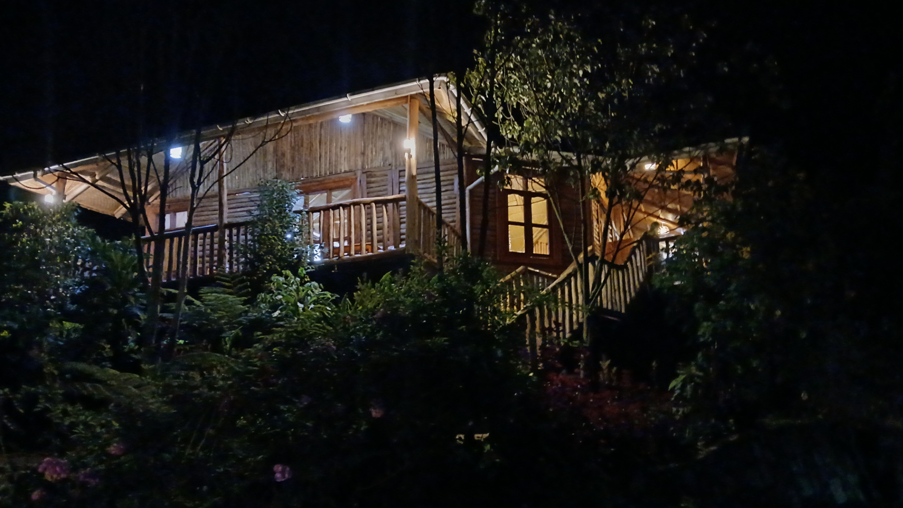 Stone path from Orugano Bwindi Lodge leading toward the misty ridges of the Nkuringo forest sector.