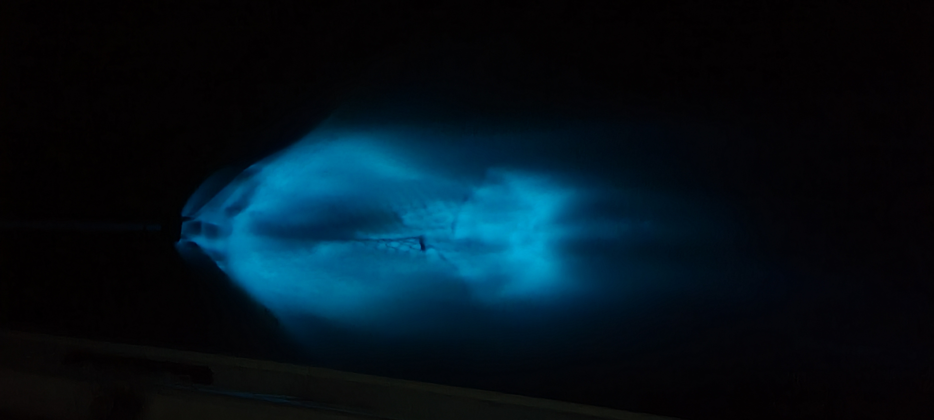 The glowing blue bioluminescent wake created by a moving boat at night