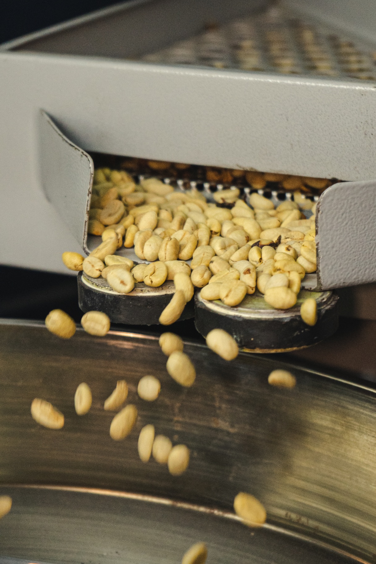 Artisanally Roasted Colombian Coffee Beans Bowl