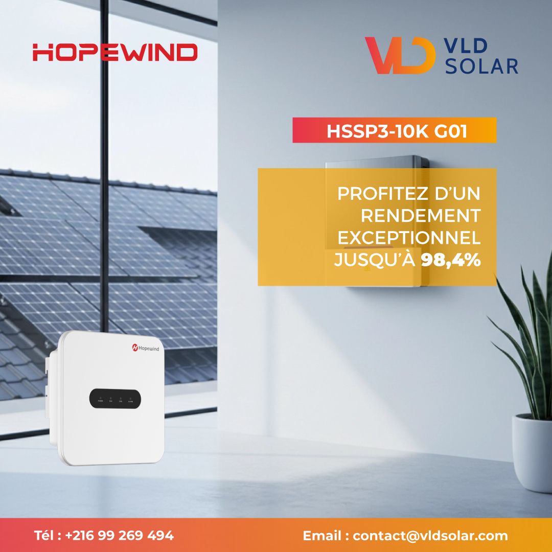 Promotion des onduleurs Hope Wind