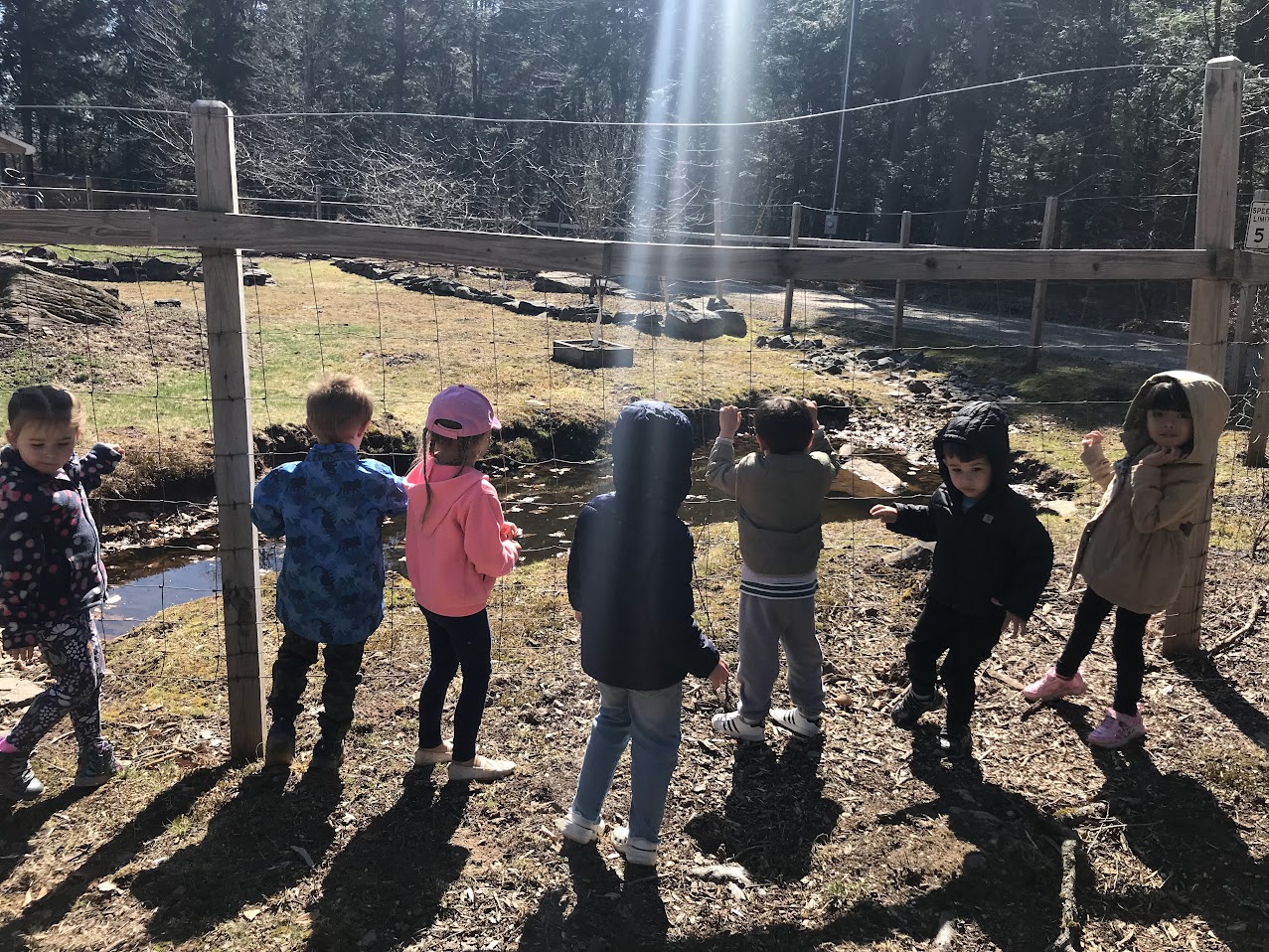 The Importance of Access to Green Space in Early Childhood: How Nature Impacts Academic Outcomes