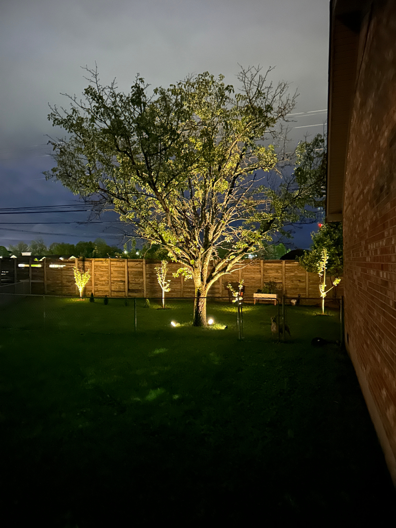 Custom outdoor lighting installation