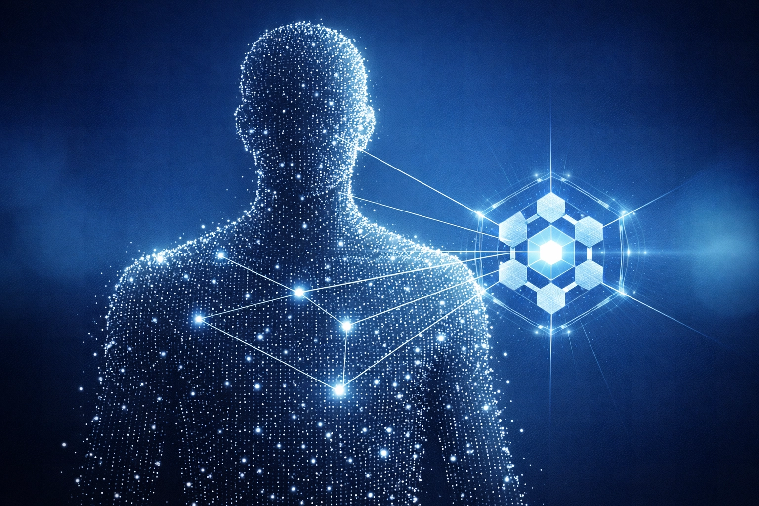 Healthcare data engineering silhouette showing precise algorithmic matching and data visibility.