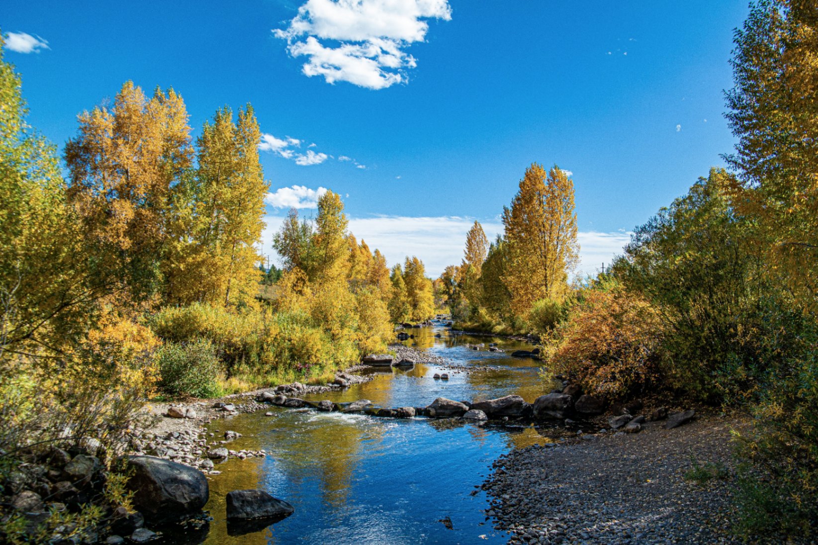Yampa River in Steamboat Springs - Autumn