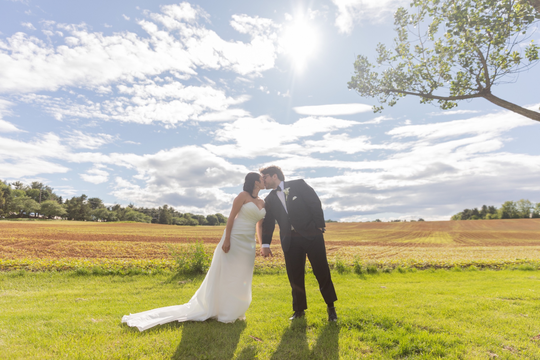 A bride and groom share a kiss in an expansive sunlit field under a bright blue sky