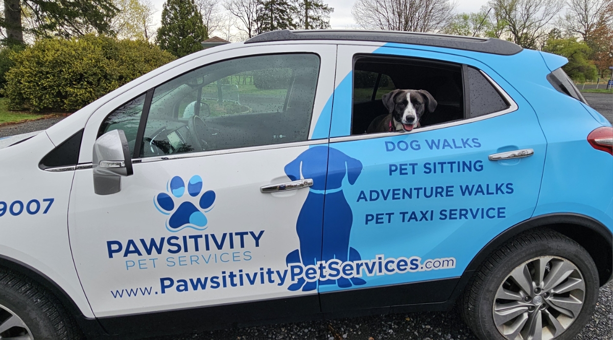 2025 Year in Review: A Pawsitively Unforgettable Year