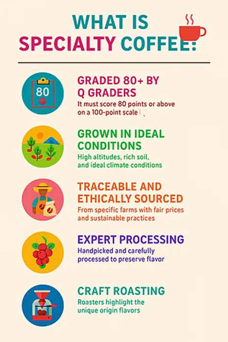 Infographic explaining what makes coffee 'specialty' grade