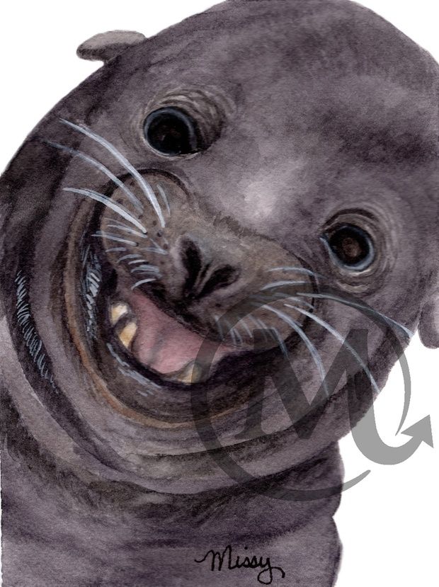 happy-harbor-seal-watercolor-illustration.jpg