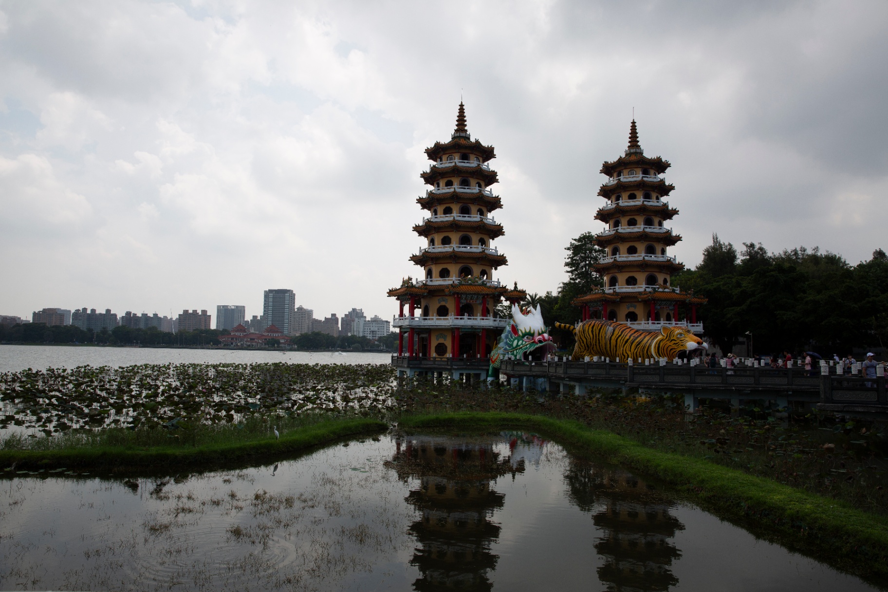 Renewal Original: fine art photography print with a soft, grounded sense of renewal, calm light, space to breathe