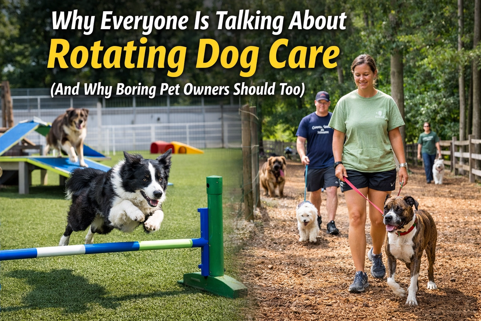 [HERO] Why Everyone Is Talking About Rotating Dog Care (And Why Boring Pet Owners Should Too)