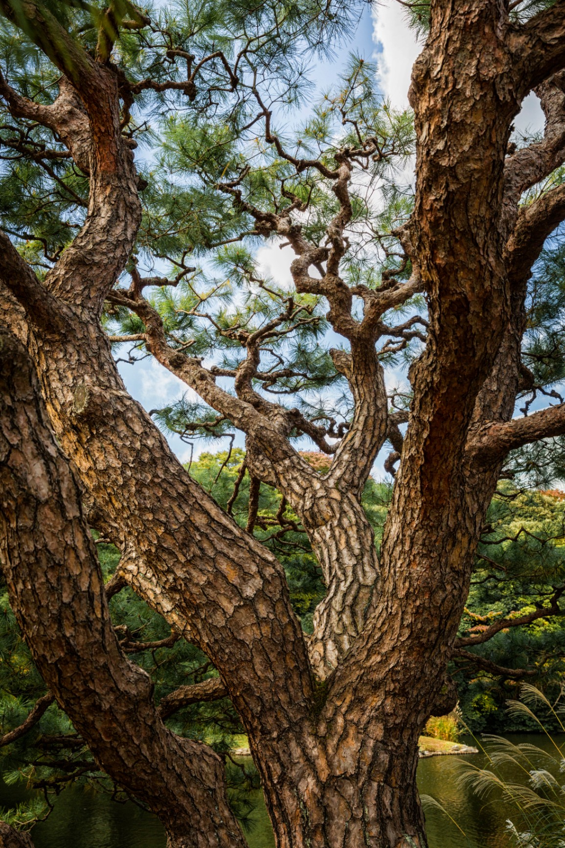 Threshold, a liminal passage with quiet light and shadow, minimalist wall art in Australia