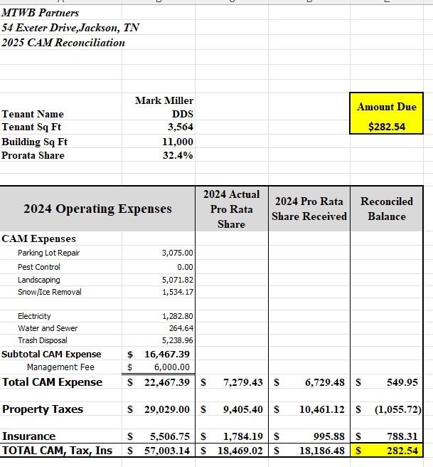 CAM Reconciliation Statement Example