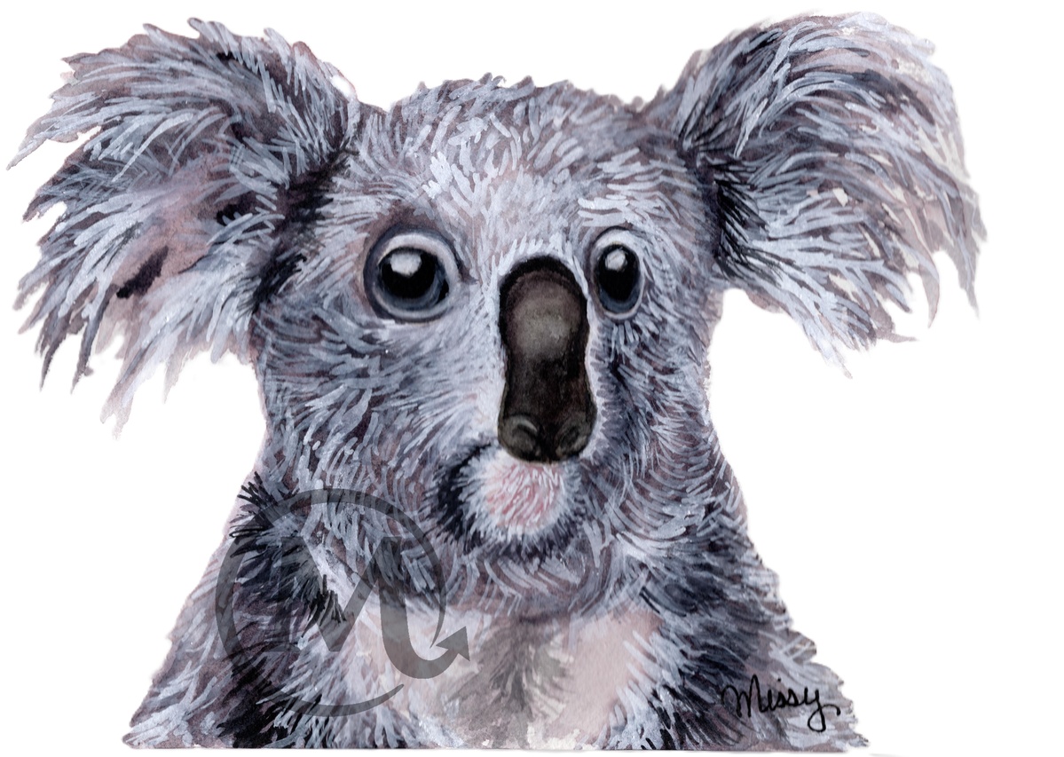 Missy’s original grey koala watercolor print
