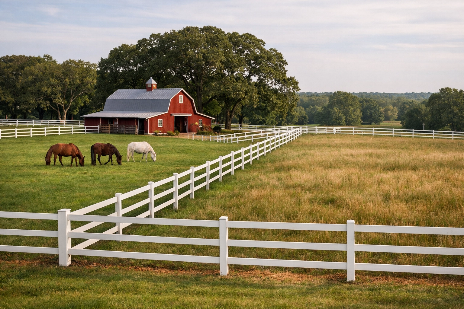 Two-paddock rotational grazing system with horses on well-maintained NC equestrian farm