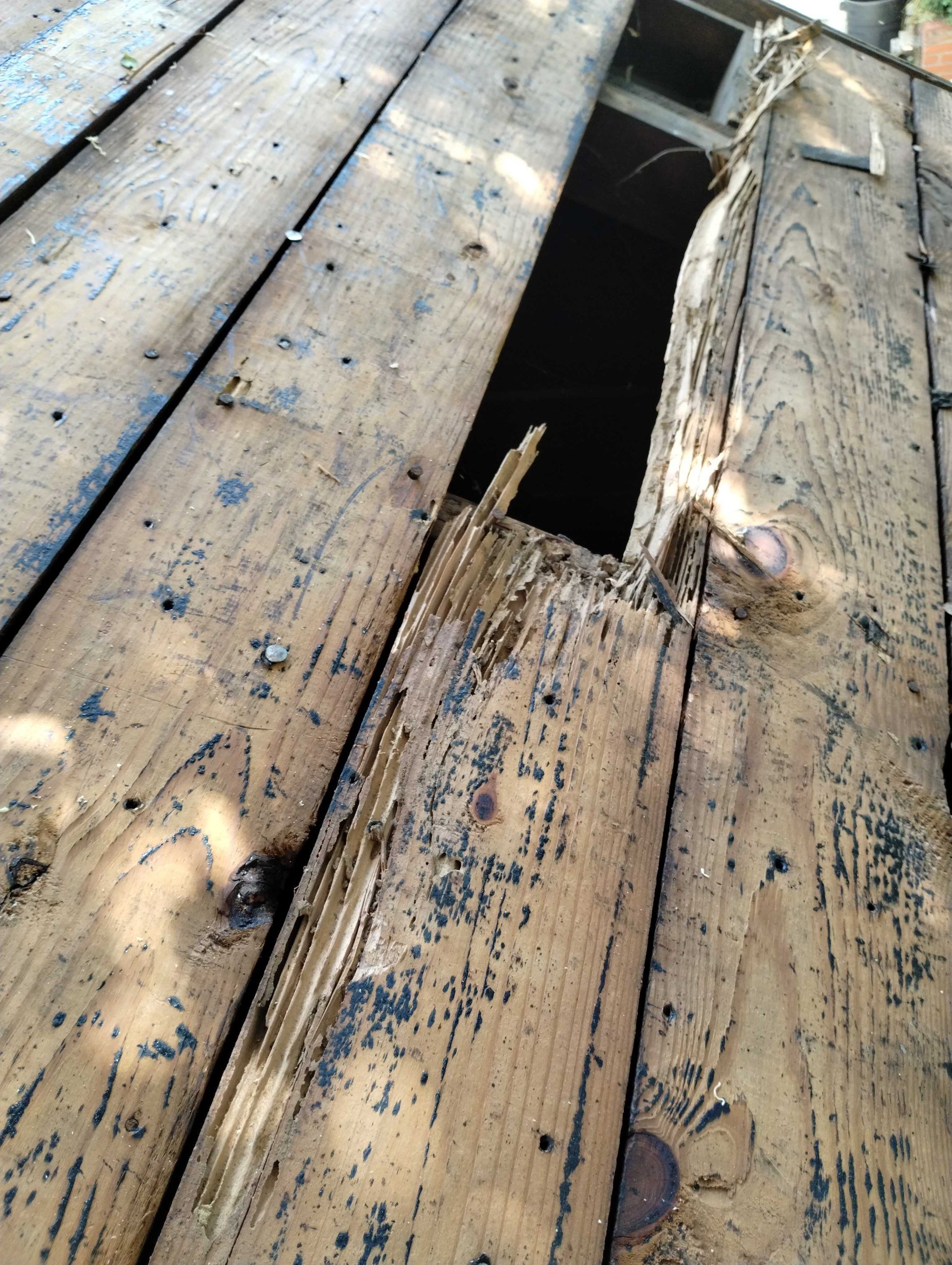 Severely Damaged Roof Decking