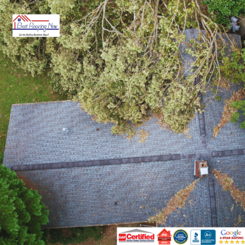 Fallen tree causing severe roof damage