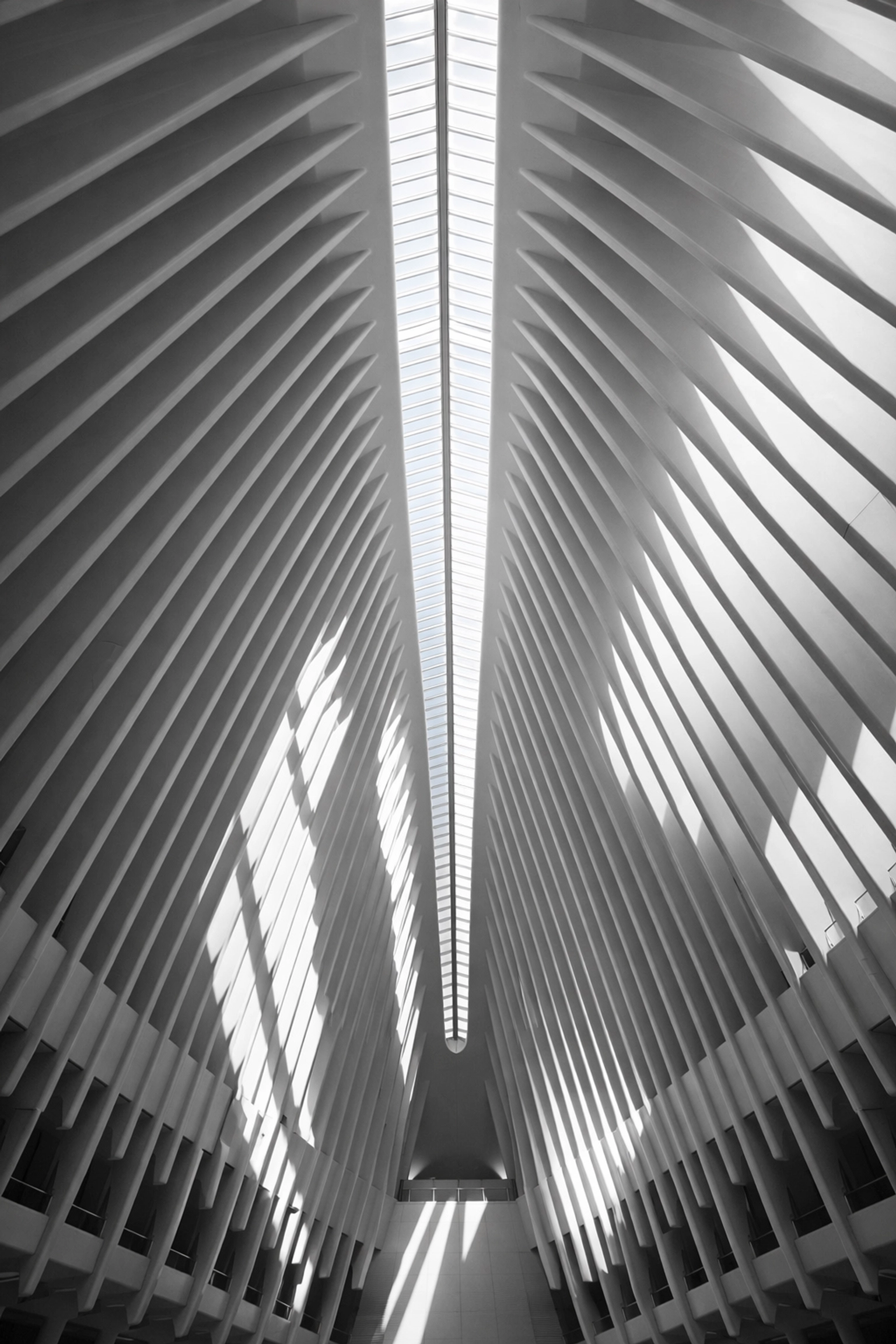 Sunlight filtering through the white ribs of the Oculus, one of the best places to take pictures in NYC.