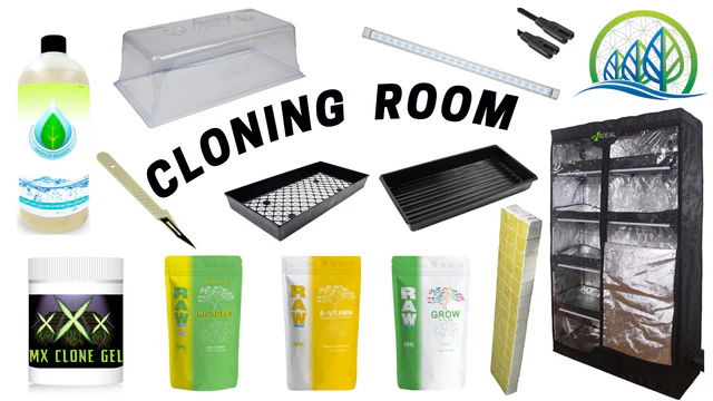 Cloning Room Essentials