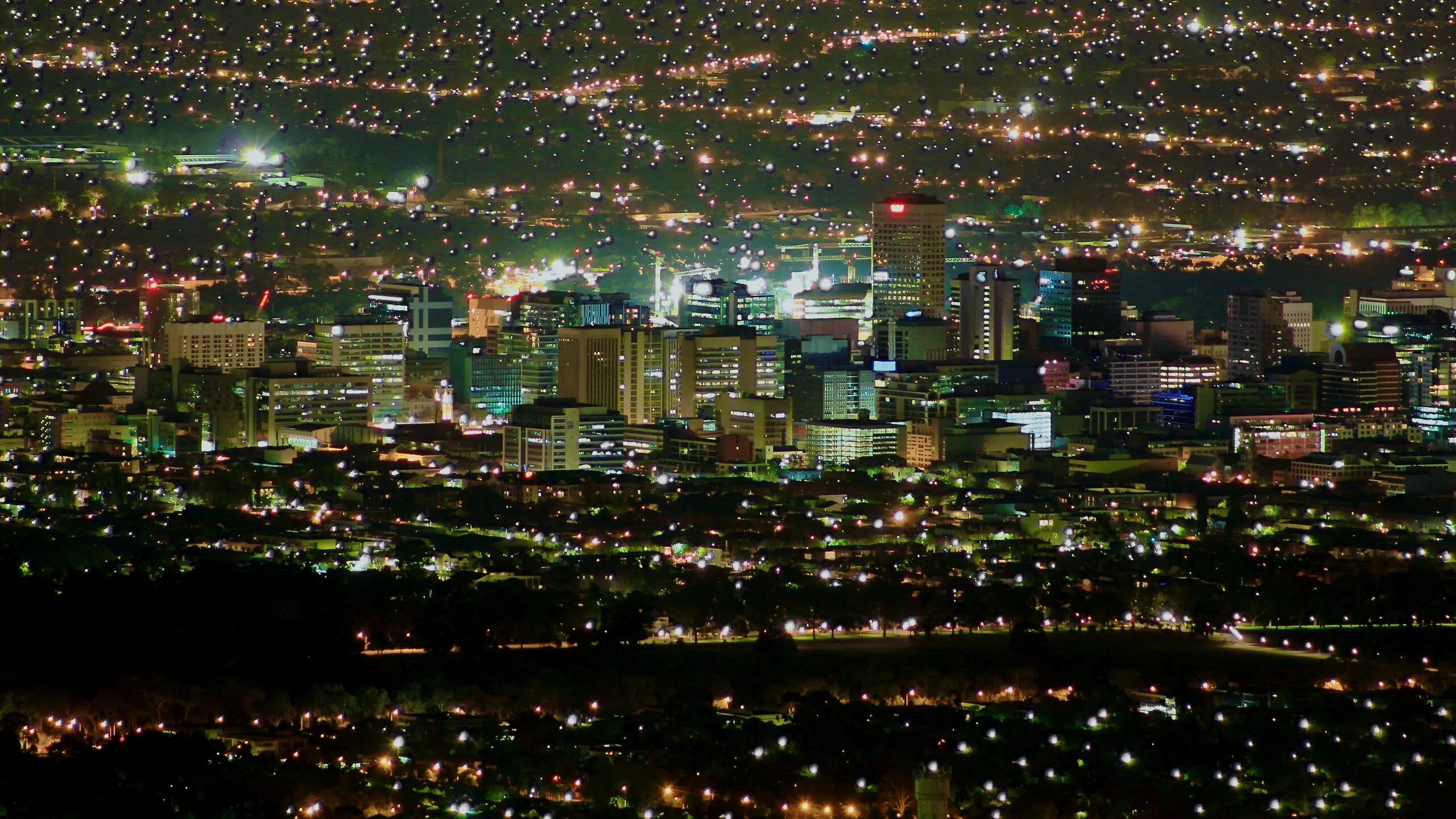 The illuminated Adelaide city skyline at night, showcasing the vibrant downtown business district surrounded by residential areas.