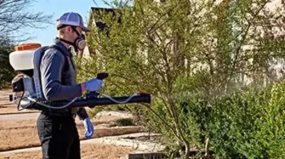 Technician applying mosquito treatment