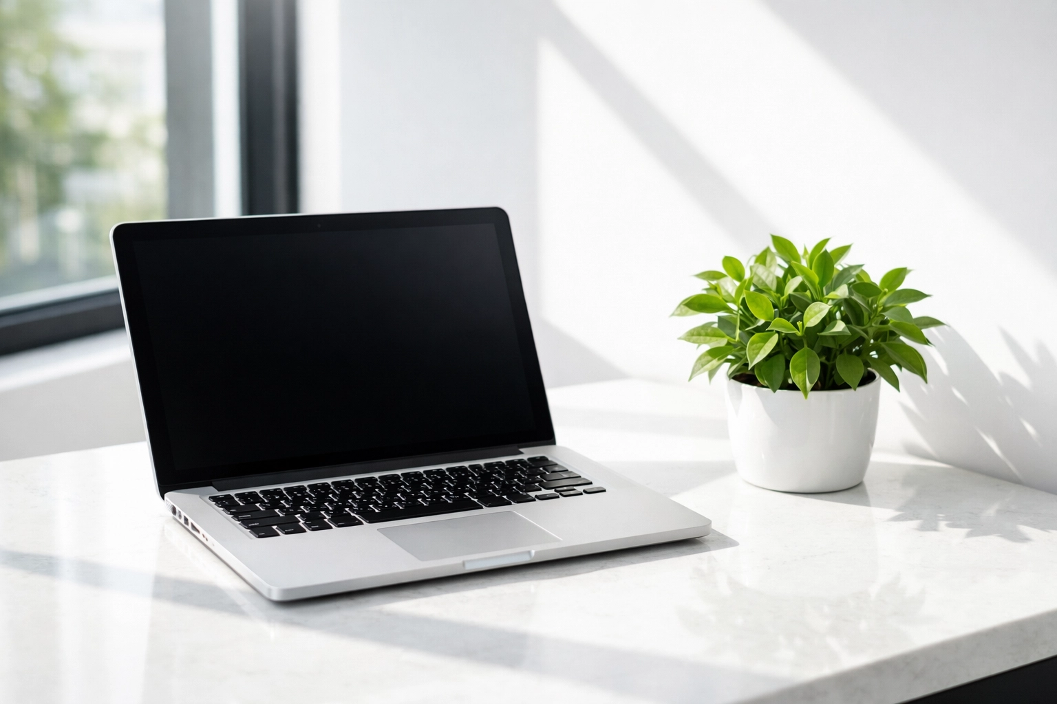 Modern small business website design displayed on a laptop in a bright, clean office setting.