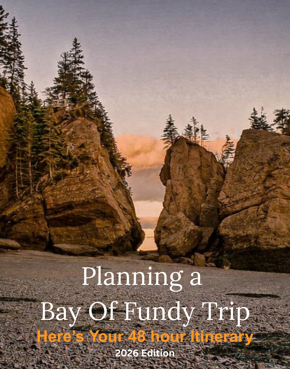 [HERO] Planning a Bay of Fundy Trip This Summer? Here