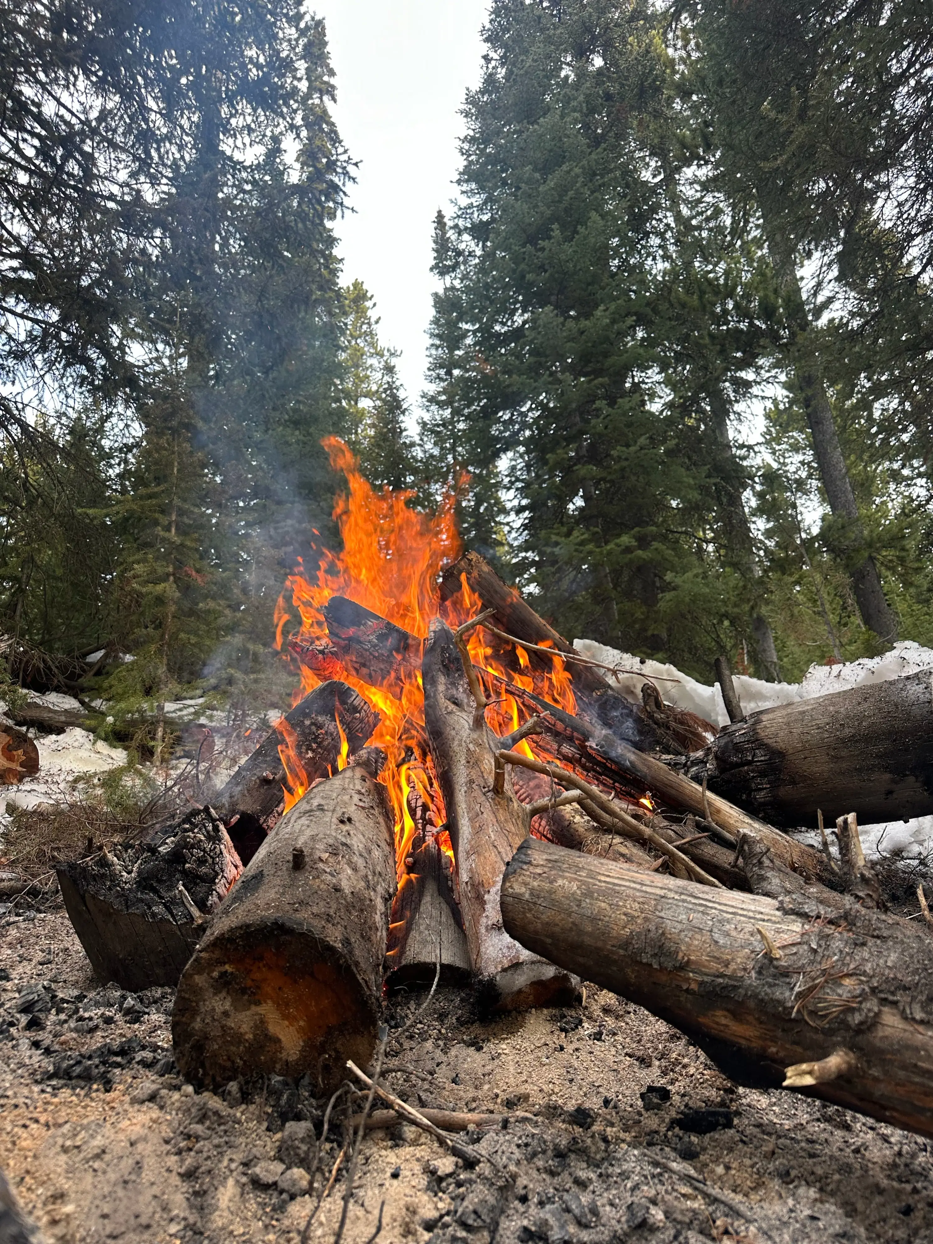 A controlled burn with stacked logs in a forest clearing, demonstrating wildfire fuel reduction techniques.