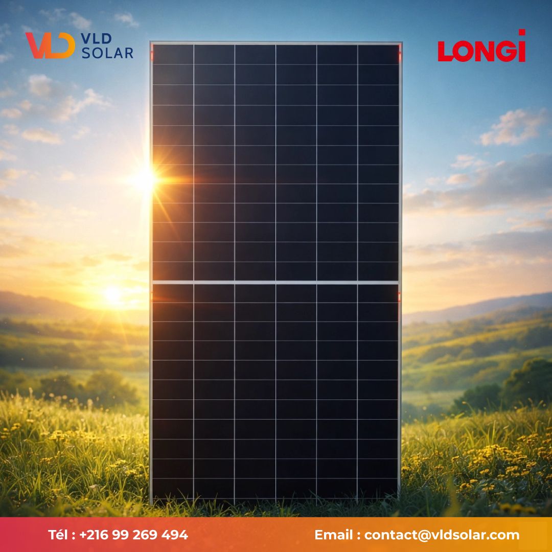 Panneaux LONGI VLD SOLAR