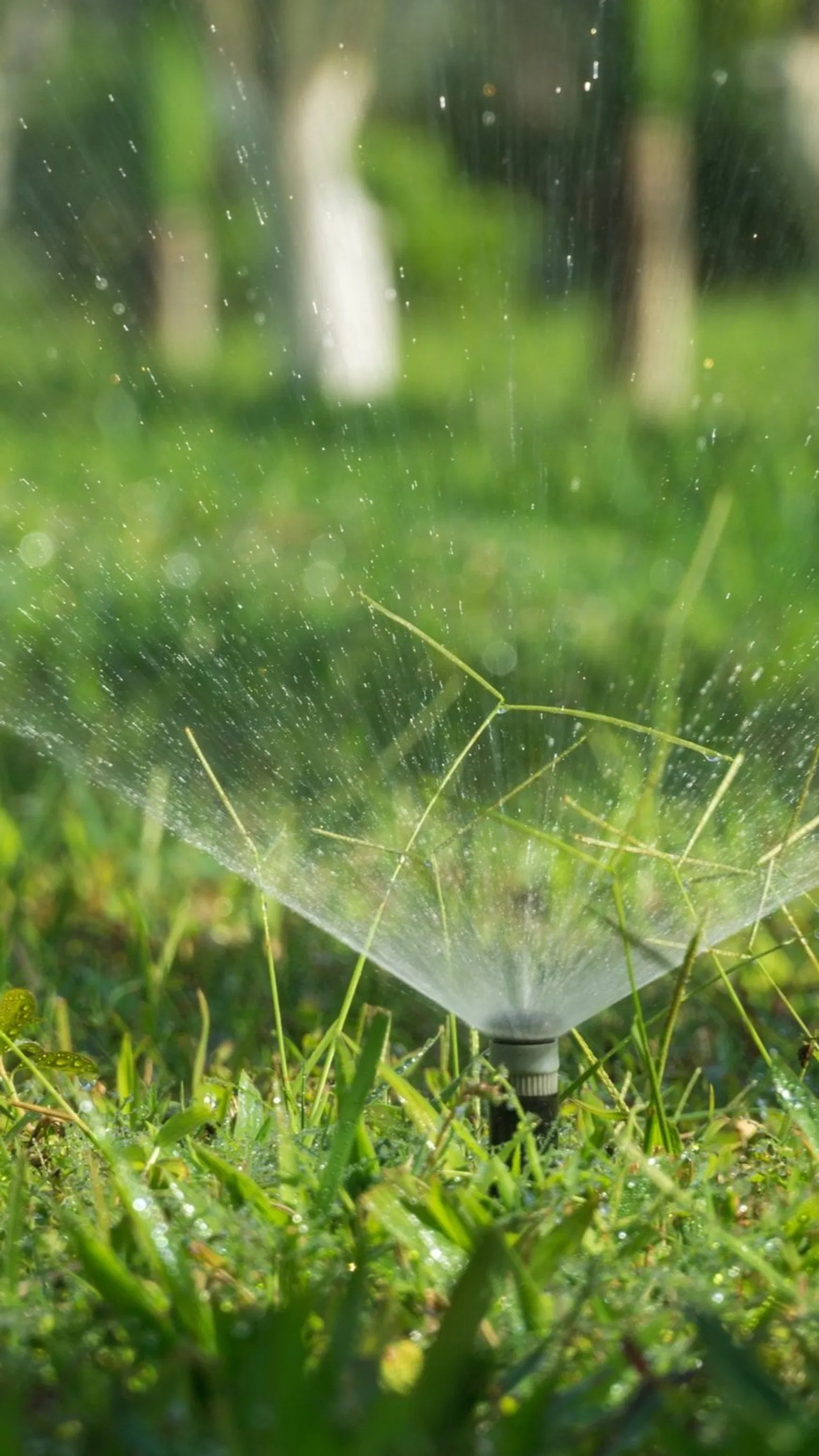 Precision sprinkler delivering a fine mist over vibrant green grass