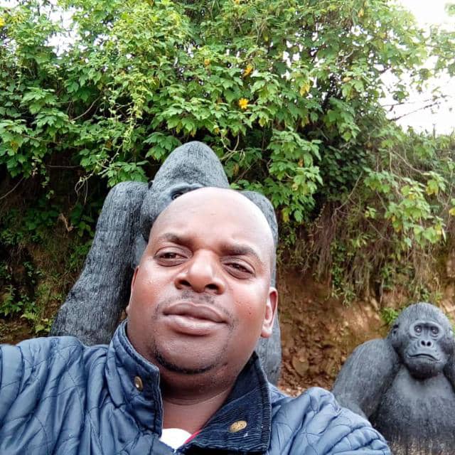 Guest selfie with gorilla statues at Orugano Bwindi Lodge A guest takes a selfie in front of life-size gorilla statues surrounded by lush greenery, highlighting Orugano Bwindi Lodge’s connection to the famous gorilla habitat of Bwindi Impenetrable National Park.