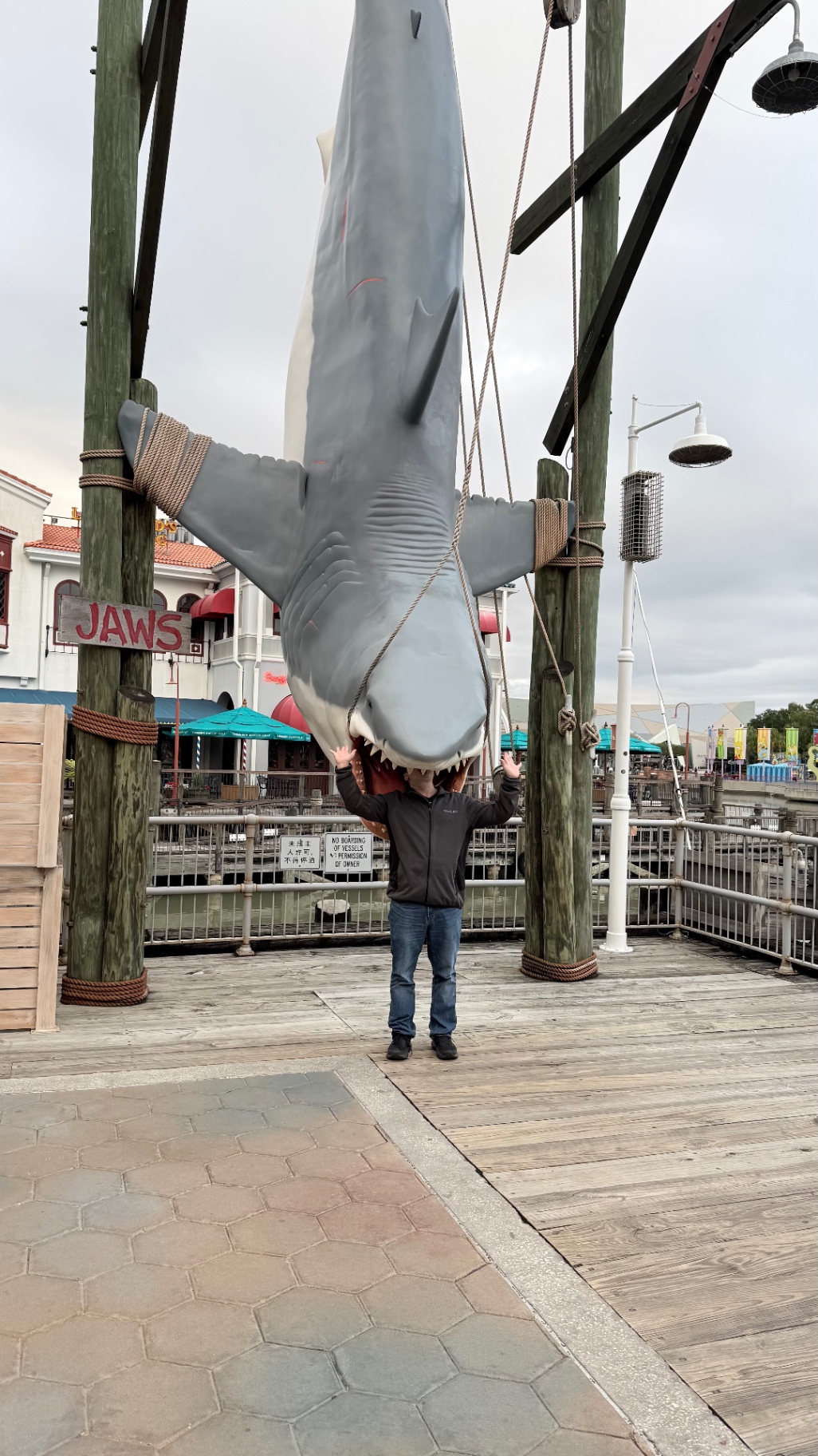 Suspended Shark Photo Spot at Universal Studios Florida