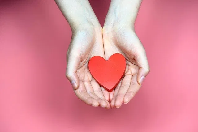 heart-in-hands-pink-background.webp