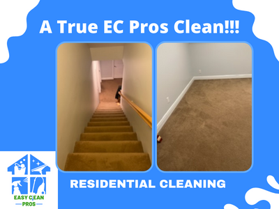 Professional Carpet Cleaning Results