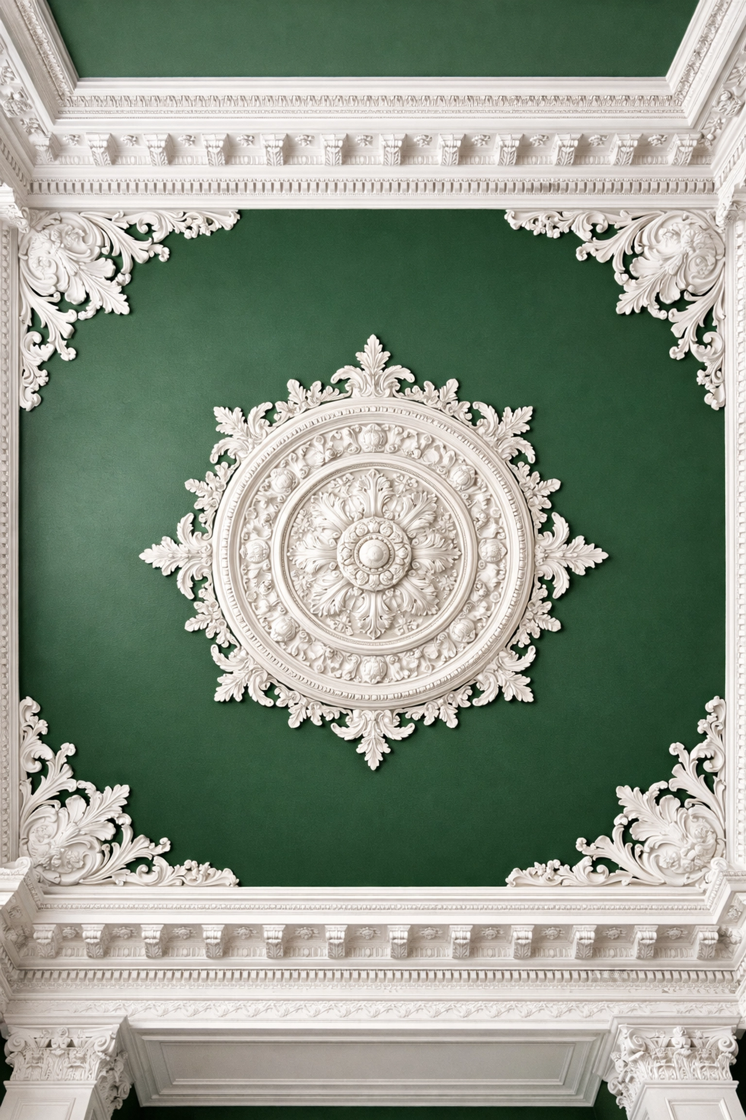 Dark forest green feature ceiling with ornate white Victorian cornicing in a Cheltenham home.