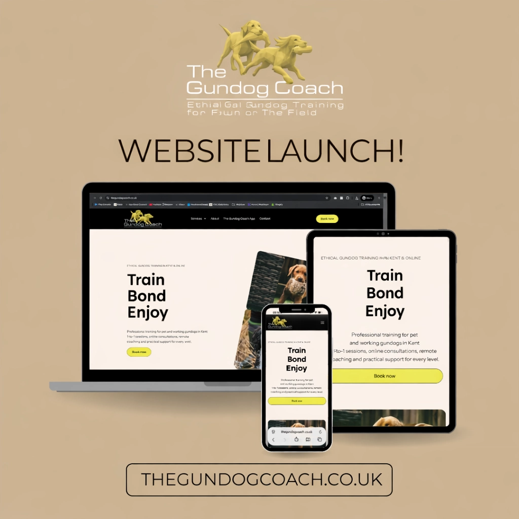 website-launch-announcement-gundog-coach.png