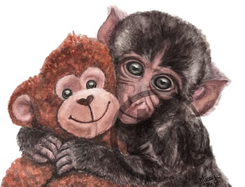 Born at the Ichikawa City Zoo and rejected by his mother shortly after birth, Punch clung to a stuffed orangutan toy as his only source of comfort while learning to navigate life without a natural parent in the troop.